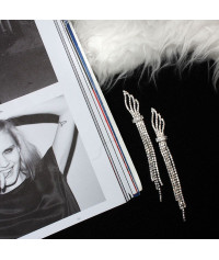 Long  wing shaped earrings