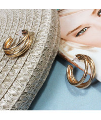 Earrings with hoops