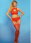 Sexy lace bodysuits